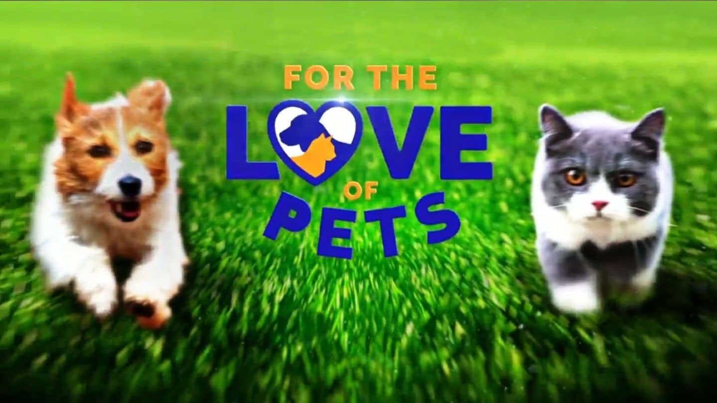 For The Love Of Pets – Season 2
